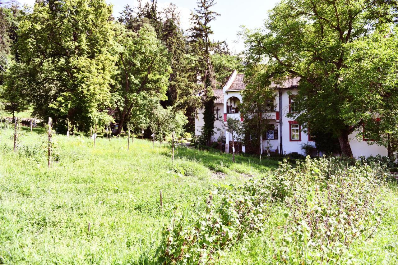 Castel Campan Guest House Бресаноне Екстериор снимка